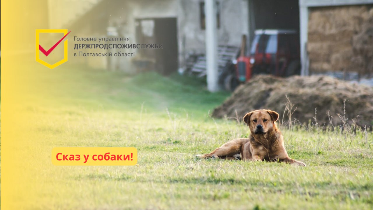У Судіївці Полтавського району виявили сказ у собаки